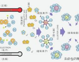 室内空气净化技术有哪些