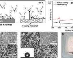 一步“绿色”操作，搞定复杂表面的超疏水涂层