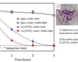 新型光催化剂抗病毒涂层被发现对各种COVID-19变种有效