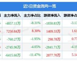 璞泰来（603659）11月16日主力资金净卖出4857.11万元