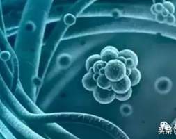 硅纳米粒子可使锂电池容量提高10倍！