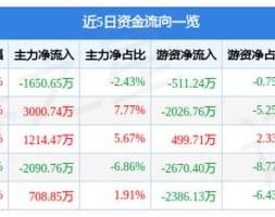 璞泰来9月26日主力资金净卖出1650.65万元