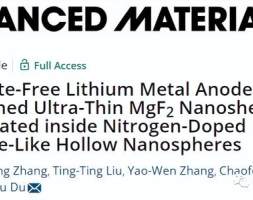 上大《Adv Mater》：超薄纳米片巧妙实现无枝晶锂金属负极​