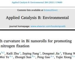 熊宇ACB: B｜掺杂铋纳米卷结构用于高效光电化学固氮