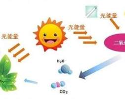 纳米光触媒怎么用？西安森诺特为您解决除甲醛难题