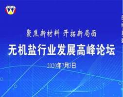 中国无机盐工业协会“无机盐发展高峰论坛”线上成功举办