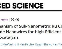 氧化钨纳米线锚定的钌团簇催化剂应用于双功能氢电催化