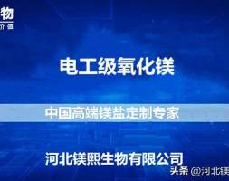 中国电工级氧化镁市场调研与投资预测报告（2022版）