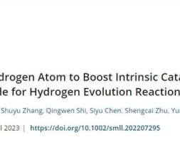 间隙氢原子增强氧化钨对析氢反应的本征催化活性