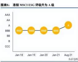 洛阳钼业研究报告：资源组合战略性、稀缺性极强