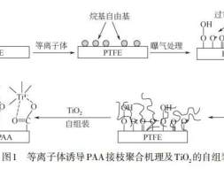 光催化分离膜的制备及其在水处理中的应用