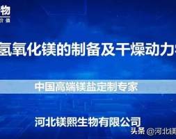 纳米氢氧化镁的制备及干燥动力学研究