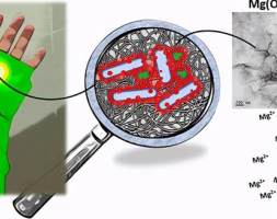 皇家墨尔本理工大学研发纳米内置愈合传感器的智能伤口敷料
