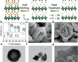 AFM：一种用于冷冻电解质中超快质子储存的新型层状WO3