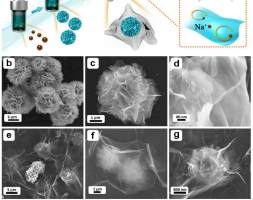 吉林大学杜菲：纳米片自组装等级花球结构助力宽温区钠离子电池