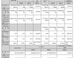 德方纳米：前三季净利同比增628.2% 拟投建补锂剂生产基地项目