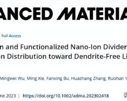 川大赵焱、武汉理工麦立强：均匀纳米离子分配器实现无枝晶锂电池