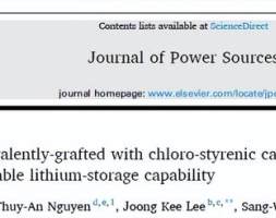 多孔硅与氯苯乙烯碳“手牵手”，铸就高性能硅基负极材料