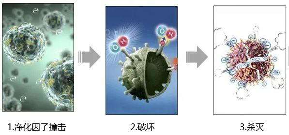 氧化锌抗菌机理2.jpg